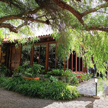 Finca Alda ロス・ジャノス・デ・アリダネ エクステリア 写真