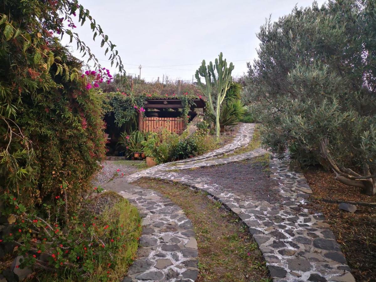 Finca Alda ロス・ジャノス・デ・アリダネ エクステリア 写真